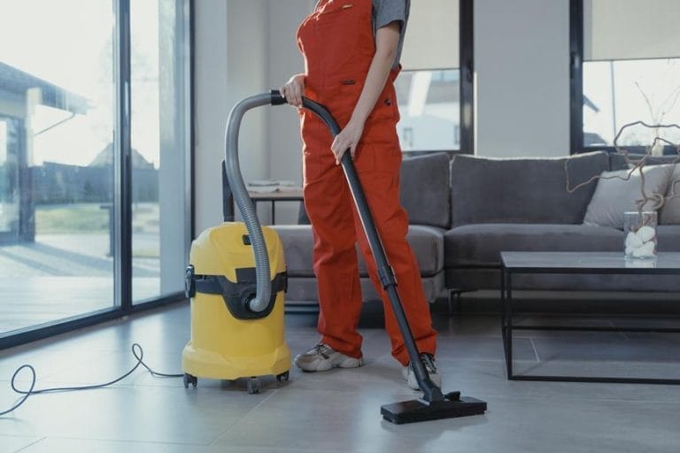 The Pros and Cons of Buying the Best Wet Vacuum Cleaners